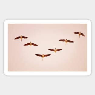 Geese Flying In 'V' Formation Sticker